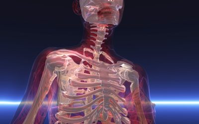 How To Improve Your Bone Health